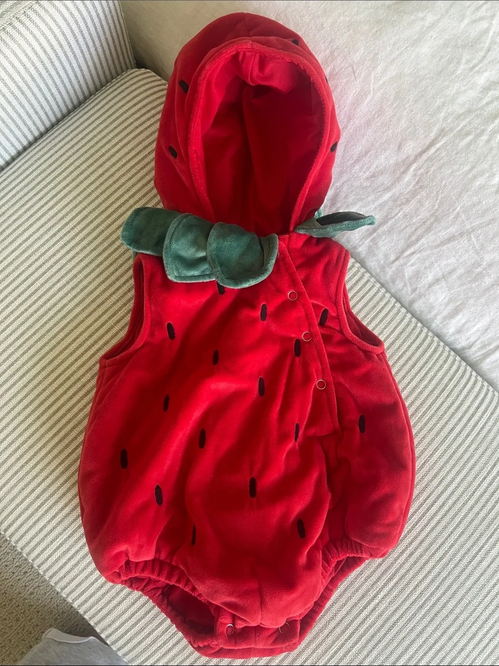 Pottery Barn Kids Strawberry Baby Costume